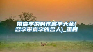 带宸字的男孩名字大全(名字带宸字的名人)_重复