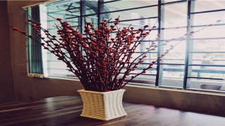 带毅字取名男孩子(带毅的男孩名字)