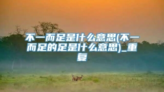 不一而足是什么意思(不一而足的足是什么意思)_重复