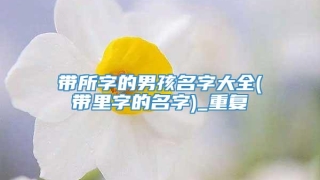 带所字的男孩名字大全(带里字的名字)_重复
