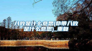 八败是什么意思(命带八败是什么意思)_重复