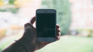 带木字偏旁的男孩名字(楚辞中带有木的字)