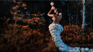 八字排盘身宫(命理学谈星曜)