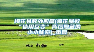 梅花易数外应篇(梅花易数“体用互变”背后隐藏的小小秘密)_重复