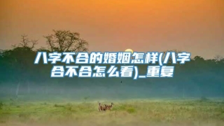 八字不合的婚姻怎样(八字合不合怎么看)_重复
