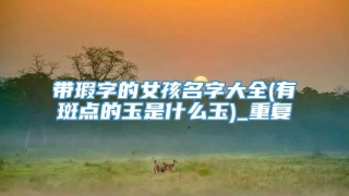 带瑕字的女孩名字大全(有斑点的玉是什么玉)_重复