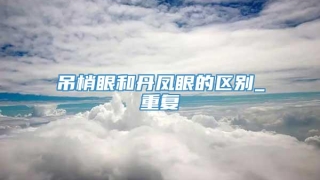 吊梢眼和丹凤眼的区别_重复