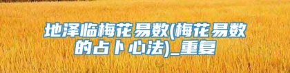 地泽临梅花易数(梅花易数的占卜心法)_重复