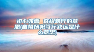 初心如磐 奋楫笃行的意思(奋楫扬帆笃行致远是什么意思)
