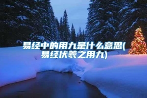 易经中的用九是什么意思(易经伏羲之用九)