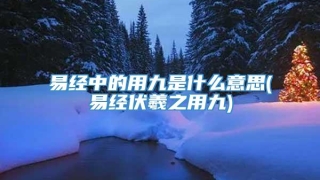 易经中的用九是什么意思(易经伏羲之用九)