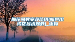 梅花易数变卦体用(如何用梅花易术起卦)_重复