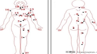 看相算命大全有图像痣(男女全身痣相图解测命运)