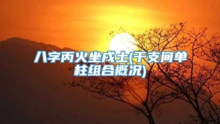 八字丙火坐戌土(干支间单柱组合概况)