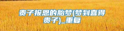 贵子报恩的胎梦(梦到喜得贵子)_重复