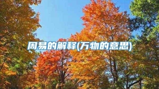 周易的解释(万物的意思)