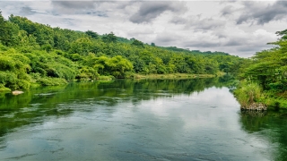 带奕字的高贵男孩名字(带奕字的高贵男孩名字)
