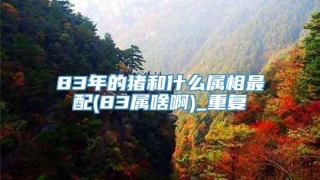 83年的猪和什么属相最配(83属啥啊)_重复