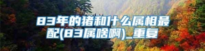 83年的猪和什么属相最配(83属啥啊)_重复