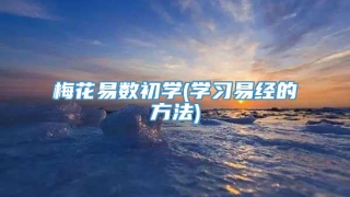 梅花易数初学(学习易经的方法)