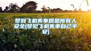 梦到飞机失事但是所有人安全(梦见飞机失事自己平安)