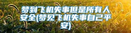 梦到飞机失事但是所有人安全(梦见飞机失事自己平安)