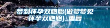 梦到怀孕双胞胎(做梦梦见怀孕双胞胎)_重复