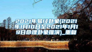 2021年易经卦象(2021年1月10日至2021年1月19日命理卦象推演)_重复