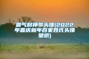 霸气财神爷头像(2022年喜庆新年百家姓氏头像壁纸)