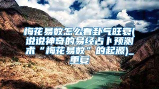 梅花易数怎么看卦气旺衰(说说神奇的易经占卜预测术“梅花易数”的起源)_重复