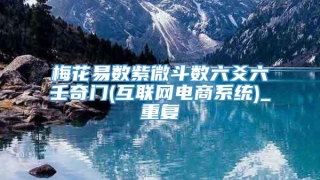 梅花易数紫微斗数六爻六壬奇门(互联网电商系统)_重复