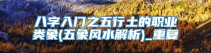 八字入门之五行土的职业类象(五象风水解析)_重复