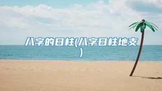 八字的日柱(八字日柱地支)