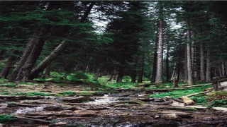 87年属兔人30岁后运气如何(87ⅹ99+87)