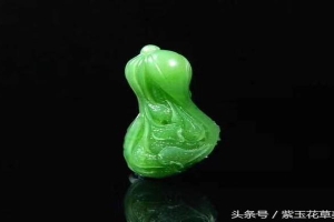 白菜的寓意和象征风水(人生拥有“玉白菜”)