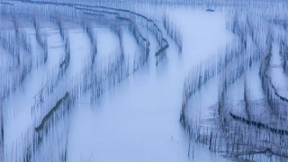 背靠山水画的寓意(什么样的山水画招财)