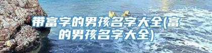 带富字的男孩名字大全(富的男孩名字大全)
