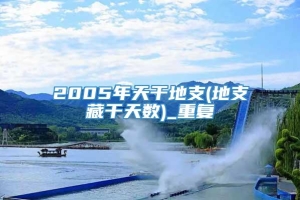 2005年天干地支(地支藏干天数)_重复