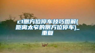 c1侧方位停车技巧图解(距离太窄的侧方位停车)_重复