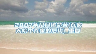 2007年几月猪命苦(乔家大院中乔家的后代)_重复
