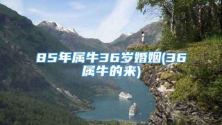 85年属牛36岁婚姻(36属牛的来)