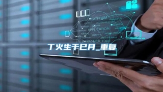 丁火生于巳月_重复