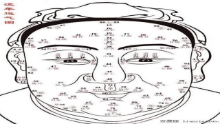耳相算命图解大全(面相百岁歌与耳相详解)