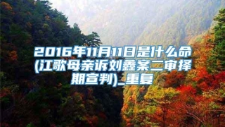2016年11月11日是什么命(江歌母亲诉刘鑫案二审择期宣判)_重复