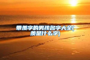 带羡字的男孩名字大全(羡是什么字)