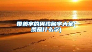 带羡字的男孩名字大全(羡是什么字)