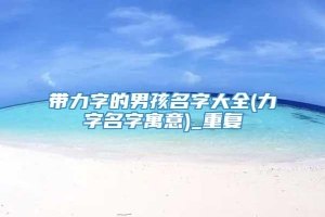 带力字的男孩名字大全(力字名字寓意)_重复