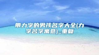 带力字的男孩名字大全(力字名字寓意)_重复