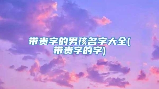 带贵字的男孩名字大全(带贵字的字)