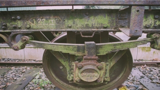 2013年几月出生的蛇宝宝命最好(八字命理十二生肖中的生肖龙)_重复